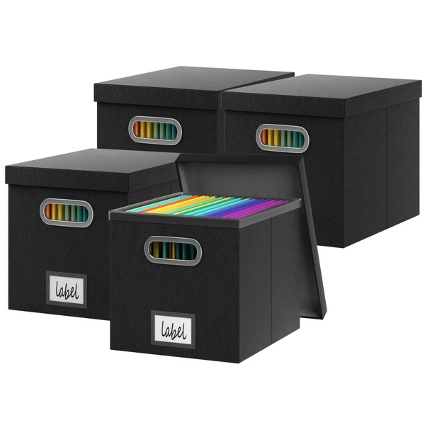 GRSQYS File Storage Box with Lid File Boxes for Hanging