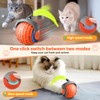 2025 New Interactive Cat Ball Toy for Indoor Cats Rotating