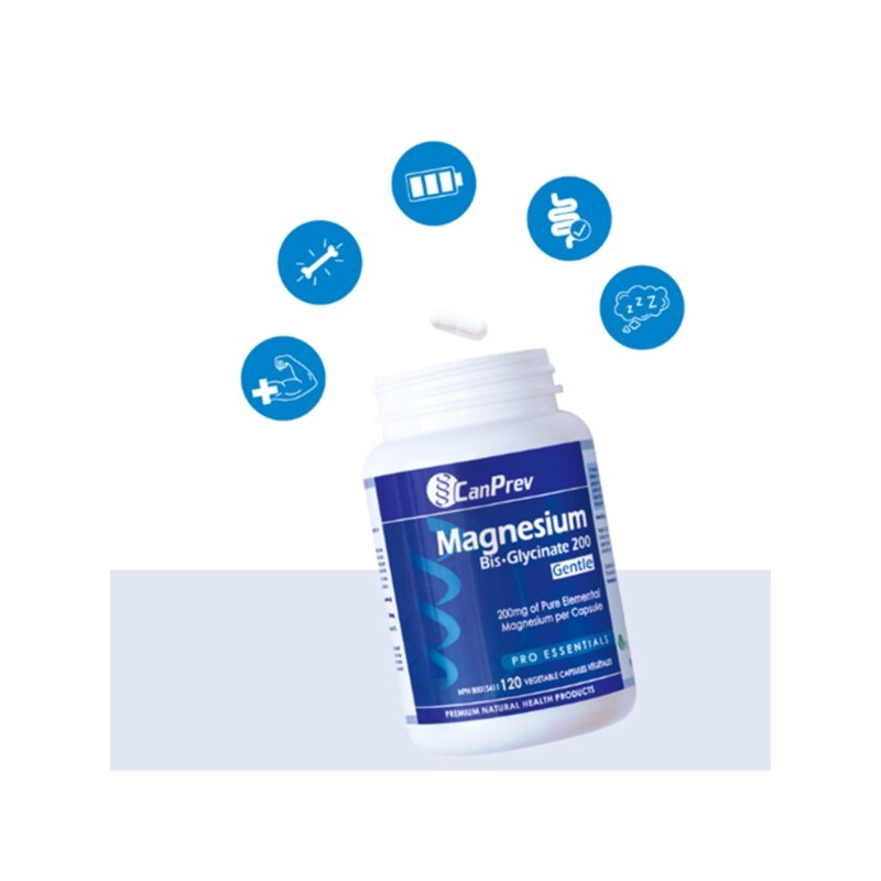 캔프레브 마그네슘 Bis-Glycinate 200mg 120캡슐 마그네슘 200mg 4개월분 Camp Rev