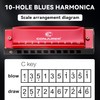 Conjurer Blues Harmonica in C Major Beginners & Children Blues