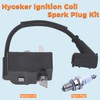 Hyceker Ignition Coil Spark Plug Kit for Stihl FS70R FS70RC