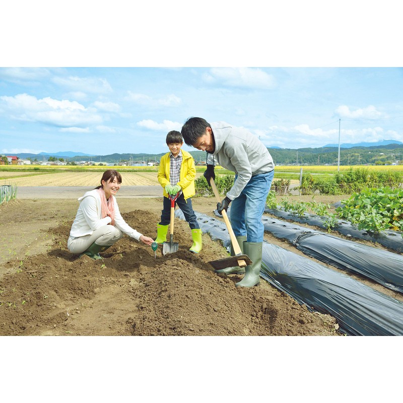Takagi Simple Soil pH Meter with Moisture Measurement Function, 2-Way