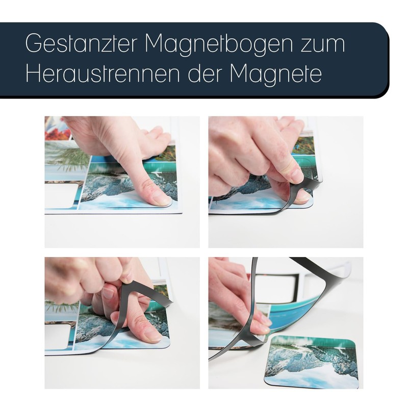 7 motif magnets with bird motifs, natural magnets, square, decoration