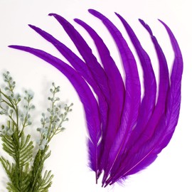 THARAHT 50PCS Rooster Coque Tail Feathers Bulk Natural 12-14Inch 30-35cm for Crafting Wedding Fly Tying Feather Party Performances DIY Decoration Rooster Tail Feather,Purple