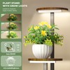 Corner Plant Stand with Grow Lights, 7 Tier Plant Stand