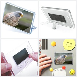 Classic Rectangle Magnet with Stand - Kestrel Bird of Prey Portrait Nature Wildlife - Fridge Locker Office Whiteboard Toolbox #51281