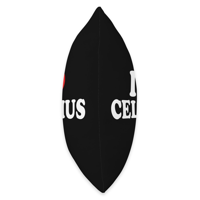 I Love Celsius Throw Pillow, 18x18, Multicolor