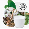 TULMERO Matte Flower Pot, Plastic Planter, Decorative Pot for Large