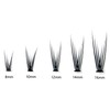 Bodermincer 120pcs D Curl 12D Fish Tail Lash Clusters Natural