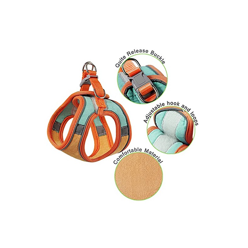 JSXD Juego de arnés para gato, correa y collar, arnés