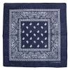 Zac's Alter Ego Retro Vintage Style Cowboy Paisley Bandana/Neckerchief/Durag