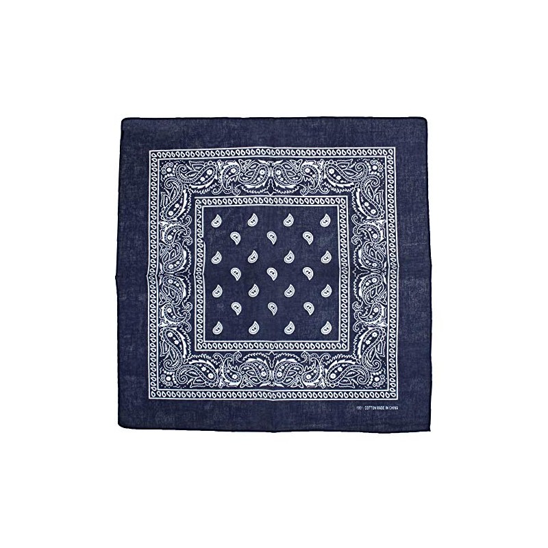 Zac's Alter Ego Retro Vintage Style Cowboy Paisley Bandana/Neckerchief/Durag