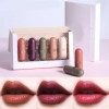 Mizetli Lápices Labiales Pintalabios Mate Lip Gloss Maquillaje 5pzs