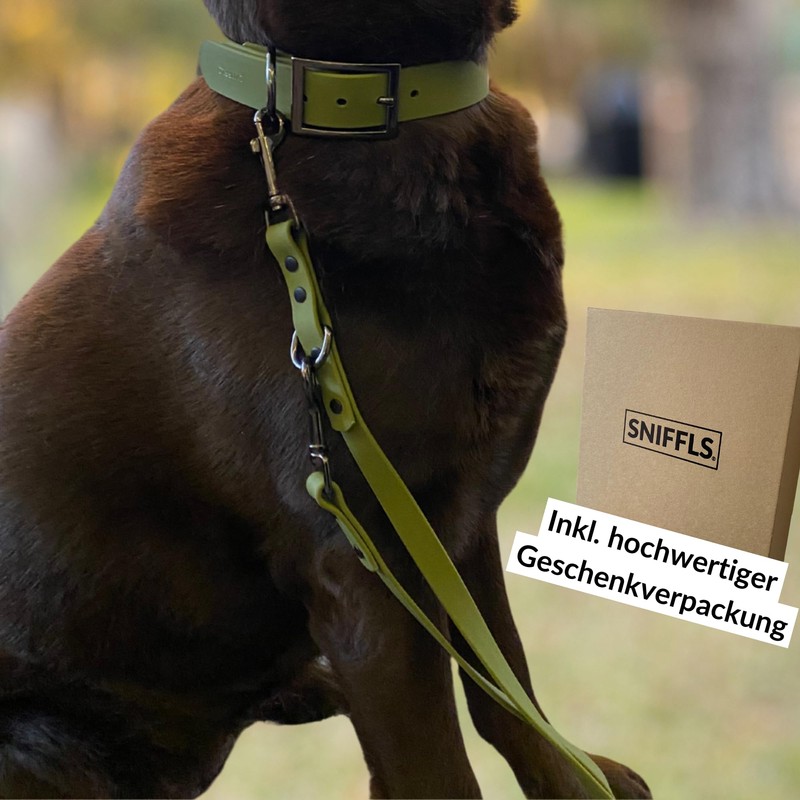 Sniffls Premium Dog Lead for Small and Medium Dogs Lightweight
