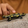 Schleich Wild Life New 2024 Wild Animal Toy Fire Salamander