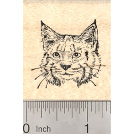 Bobcat Face Rubber Stamp, Small, North American Wildlife Cat