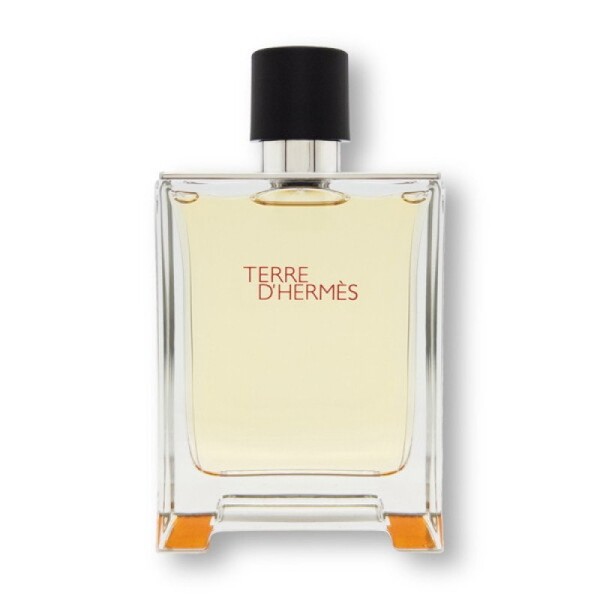 Hermes Terre d'Hermes EDT 100ml / 에르메스 떼르 데르메스 EDT