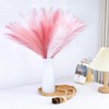 MUUNC Pink Pampas Grass Decor 30 Pcs 21.7 Inch Faux