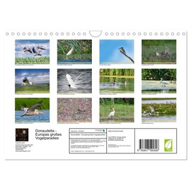 Donaudelta - Europas großes Vogelparadies (Wandkalender 2026 DIN A4 quer), CALVENDO Monatskalender