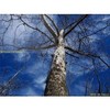 UV (Haze) 1A Multicoated | Multithreaded Glass Filter (77mm) For Tokina 11-16mm f/2.8 AT-X 116 Pro DX & DX-II