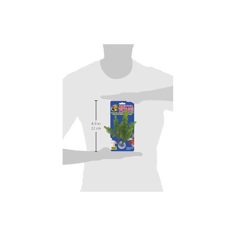 Zoo Med Laboratories AZMBP23 Betta Plant Salvia