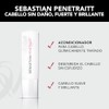 Sebastian Professional Penetraitt Acondicionador Reparación 250ml