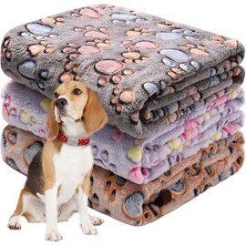 BLAZDEVE 3 Pack Pet Dog Blankets, Soft Fuzzy Flannel Pet Blankets, Washable Soft Warm Pet Blankets for Pets, Paw Print Puppy Fluffy Flannel Blanket for Couch Bed Car (M 76 * 52cm)