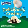 Ambrosia Ambrosia Ready-to-Eat Creamy & Delicious Devon Custard Carton, 500