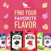 Wiley Wallaby Licorice 10 Ounce Variety Pack - Huckleberry, Apple