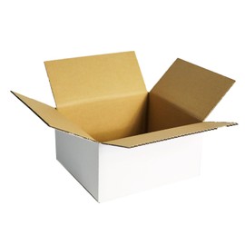 Earth Cardboard, 60 Sizes, White, 40 Cardboards, Small 19.7 inches (50 cm), Package ID0359