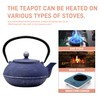 SECHUDO Cast Iron Teapot Tea Kettle with Stainless Steel Infuser