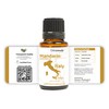 Nature Packaged Pure Mandarin Essential Oils - Essential Oils for