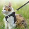Cat Harness and Lead Set for Walking Adjustable Soft Kitten