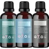Maple Holistics Maple Holistics Essential Oil Set - Breathe Protect