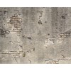 Wall Rogues WR50520 Broken Concrete Wall Mural