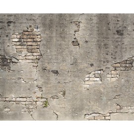 Wall Rogues WR50520 Broken Concrete Wall Mural
