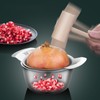 Choxila Pomegranate Deseeder Tool Stainless Steel Pomegranate Peeler Cutter Opener