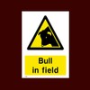 Bull in Field Plastic Sign - Warning, Farm, Dogs, Agriculture,