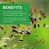 Jiva Organic Fennel Seeds 7 Oz Bag - Non-GMO, Certified,