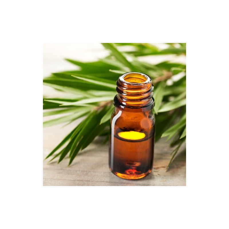 Tuscany Candle Tea Tree & Sandalwood Long-Lasting Scented Jar Candle,