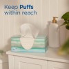 Puffs Plus Lotion Facial Tissues, 8 Family Boxes, 124 124