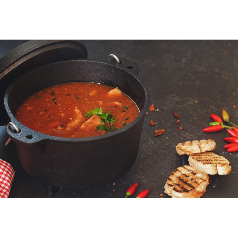 Pre-Seasoned Cast Iron Camp Dutch Oven, 4.1 qt, including Lid