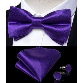 DiBanGu Mens Purple Satin Bowties Woven Ajustable Bow Tie Solid Color Pre Tie Bow Tie Handkerchief Set