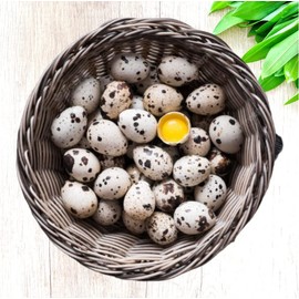 FARM FRESH Quail Eggs *Laid in the U.S.* Hormone Free; Non-GMO - (12+ Ct) *Eating Eggs*