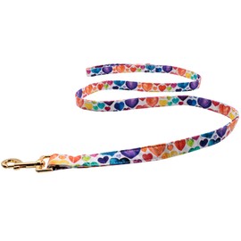 Lionet Paws Valentine's Day Dog Leash Matching Dog Collar for Small Medium Large Dog