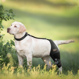 CHAMIN Adjustable Dog Knee Brace for Torn ACL Hind Leg, Support for Tear Ligament, Osteoarthritis, Rear Leg Limp, Recovery After Surgery,et(Left Leg,L)