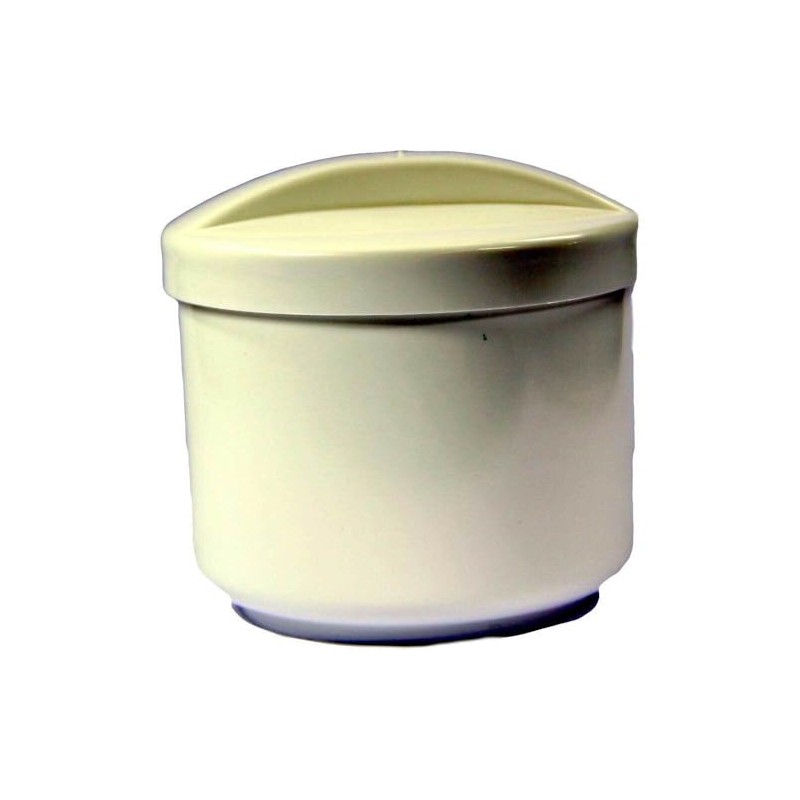 Denture Box Plastic with Sieve