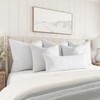MIULEE 28 x 28 Goose Feather Down Euro Pillow with