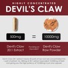 AMALTH Devils Claw Extract 500 mg, 120 Veggie Capsules, Concentrated