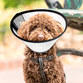 Adjustable Dog Cone Dog Cone Collar Cat Cone Collar Dog Cone Recovery Protective Collar Dog Donut Collar Comfy Soft Pet Cone Collar for Dogs and Cats After Surgery Anti-Bite Lick Wound (NO:7)
